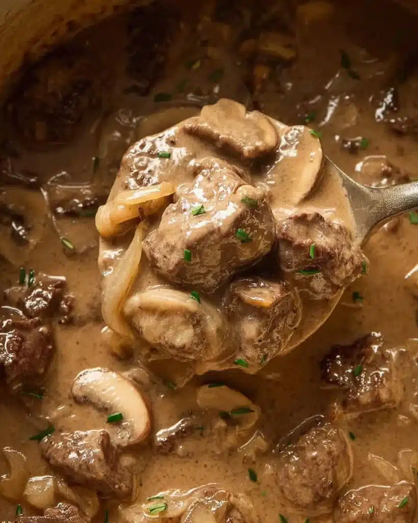 Ladle of slow cooker beef stroganoff stew with creamy sauce and mushrooms