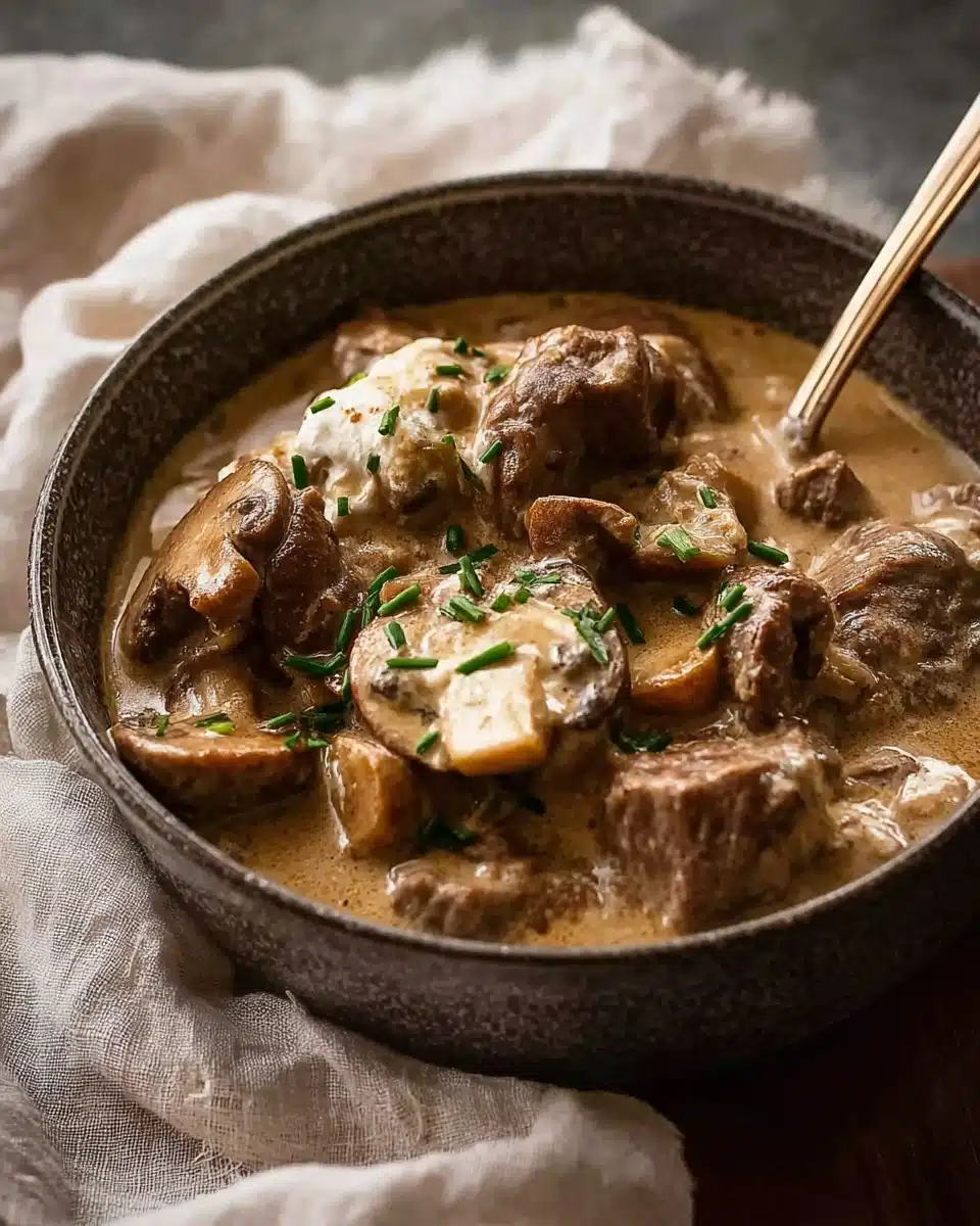 Slow Cooker Beef Stroganoff Stew
