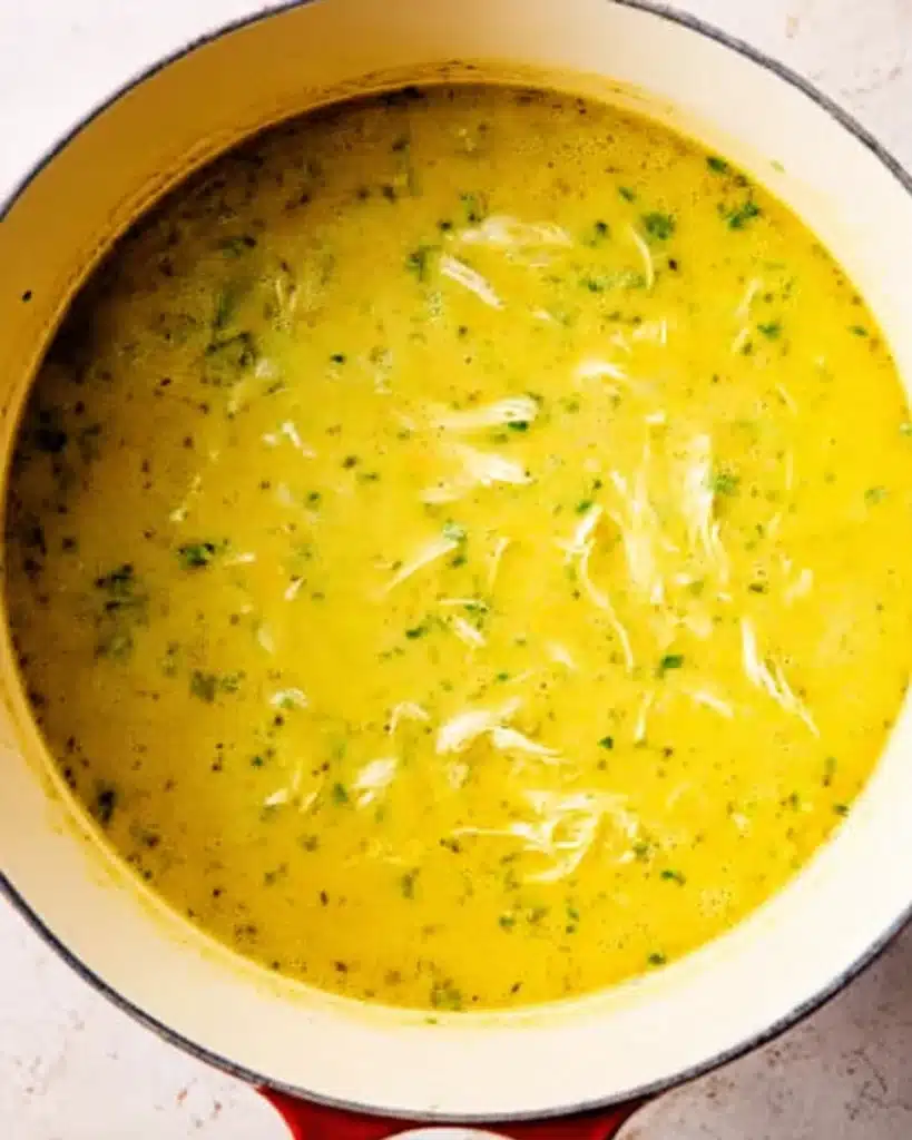 Creamy blended leek and chicken soup with herbs in Dutch oven