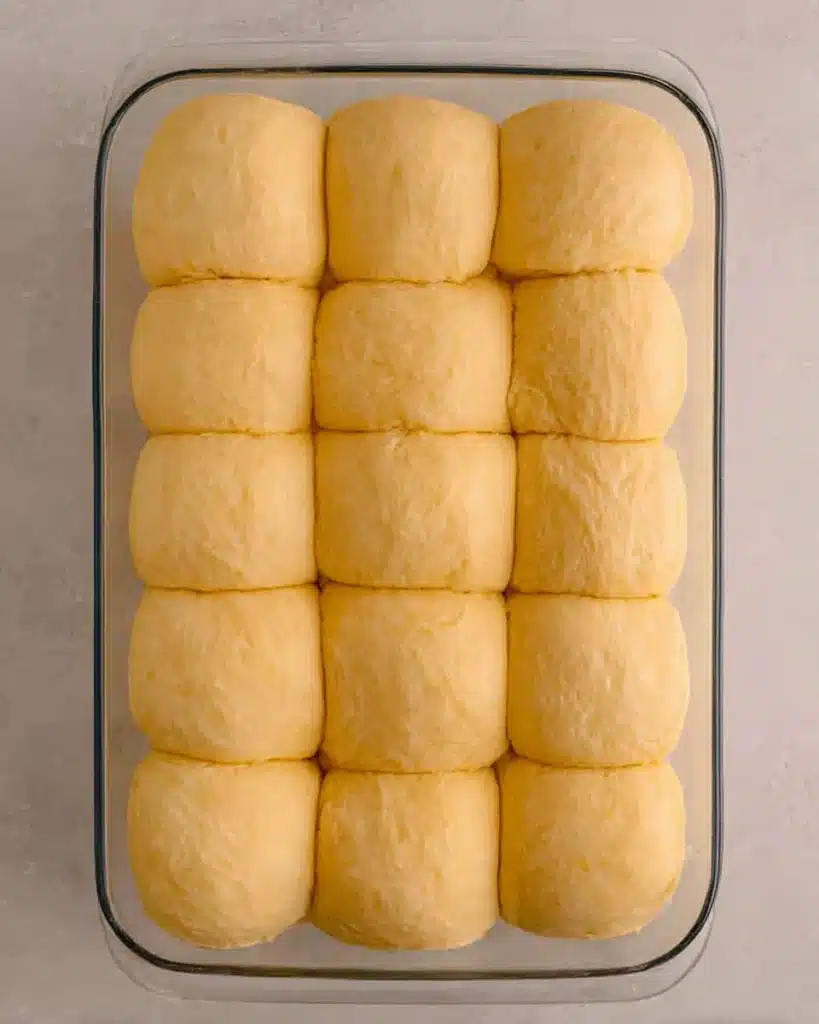 Unbaked homemade dinner rolls in a dish before baking