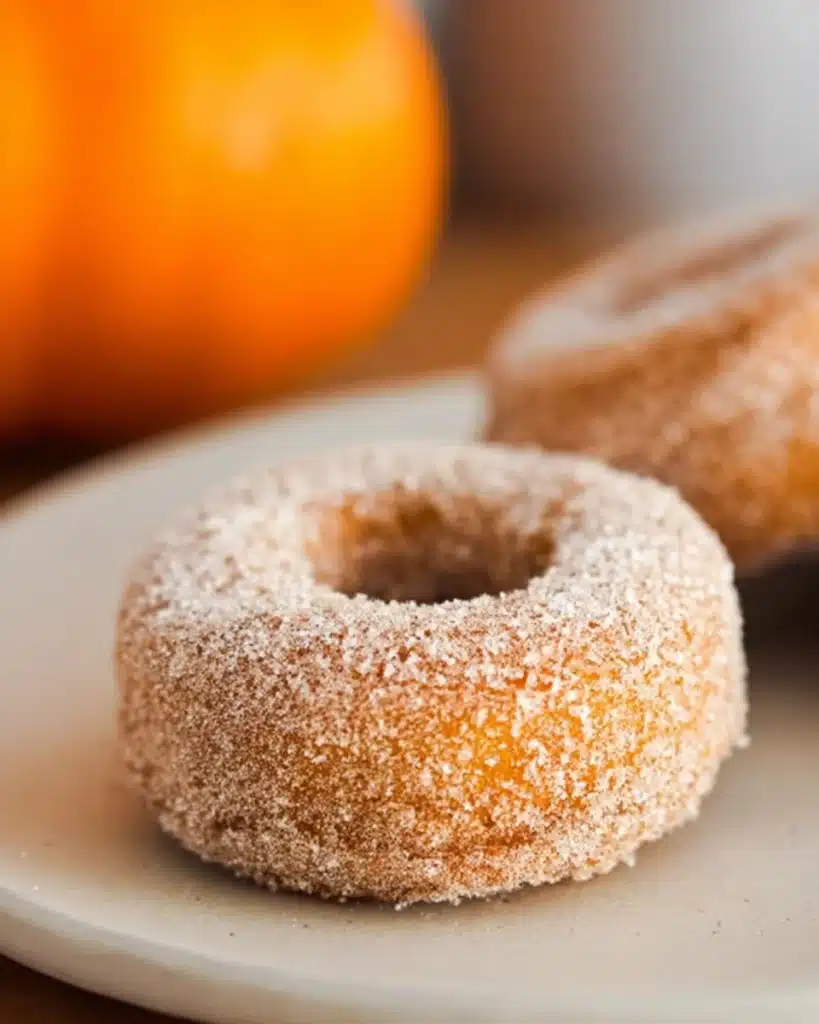 Baked Pumpkin Donuts 2 Baked pumpkin donut coated in cinnamon sugar on a cream plate