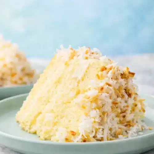 Coconut Custard Cake 3 Slice of moist coconut custard cake with toasted coconut topping on ceramic plate