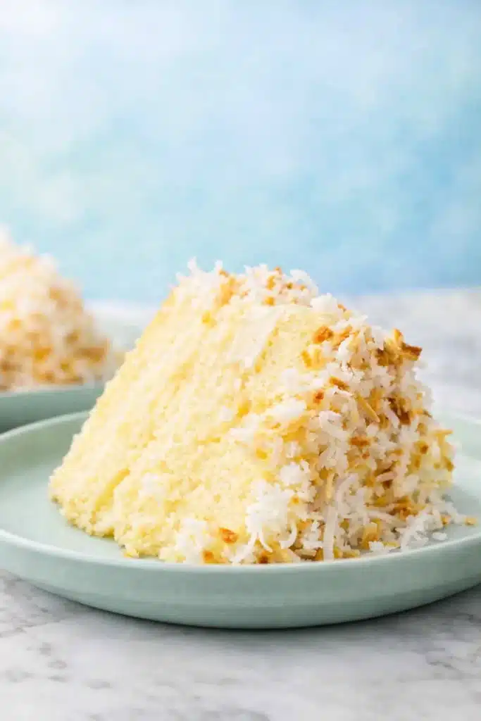 Coconut Custard Cake 1 Slice of moist coconut custard cake with toasted coconut topping on ceramic plate