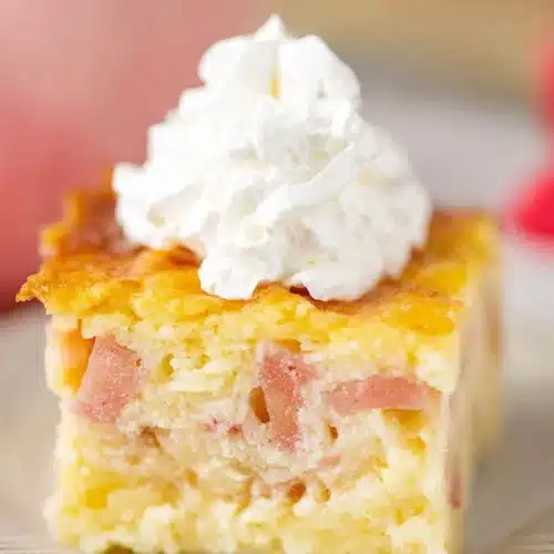 Easy Rhubarb Custard Cake Recipe That’s Creamy and Irresistible 3 easy rhubarb custard cake slice with whipped cream and creamy layers