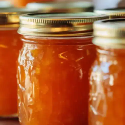 Apricot Jam Recipe 5 Homemade apricot jam in glass mason jars with golden orange fruit preserves
